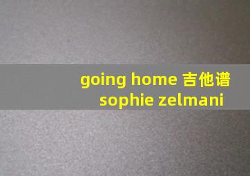 going home 吉他谱 sophie zelmani